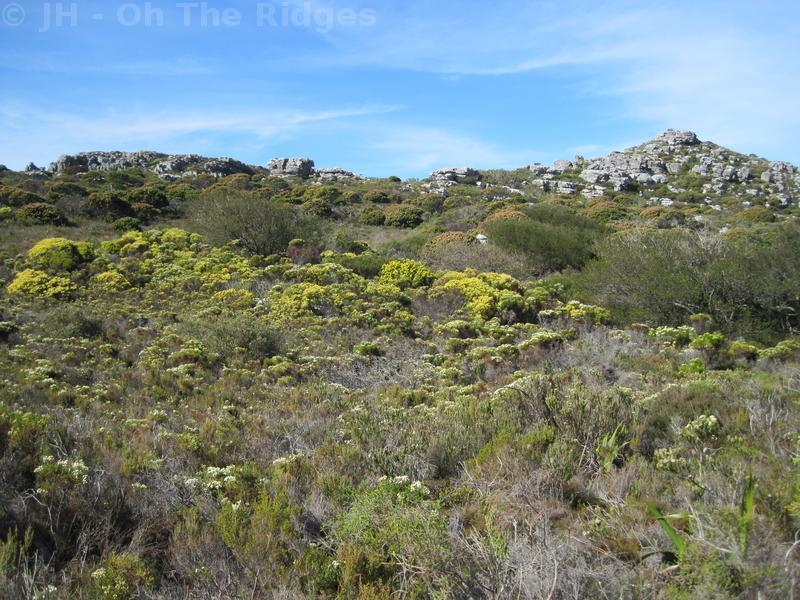 Silvermine