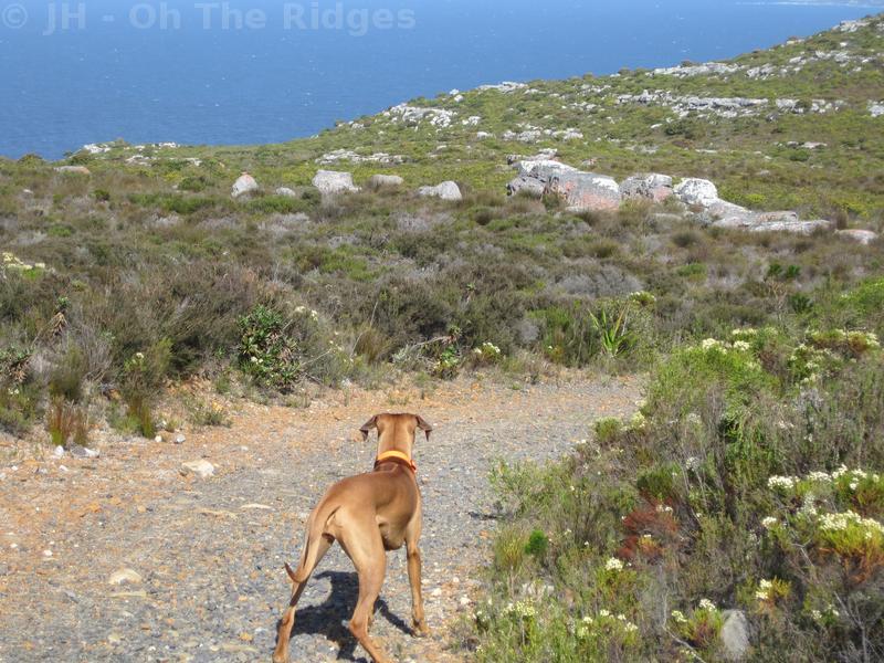 Silvermine