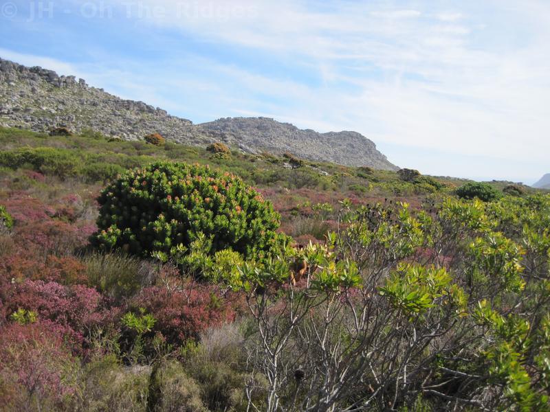 Silvermine