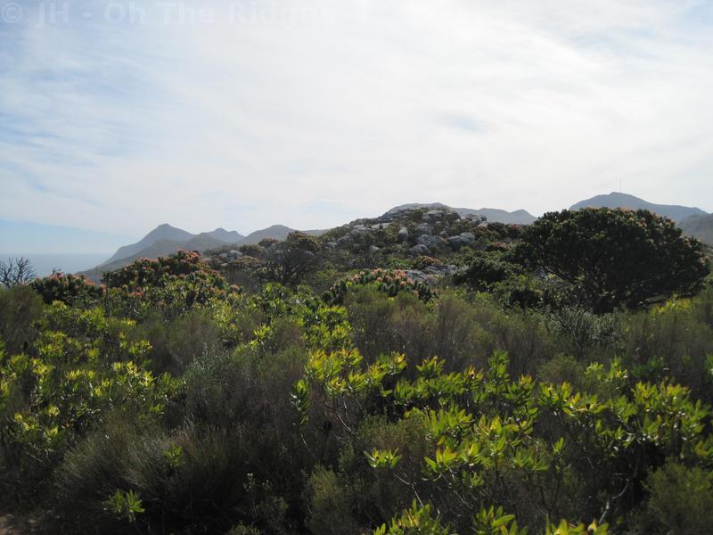 Silvermine