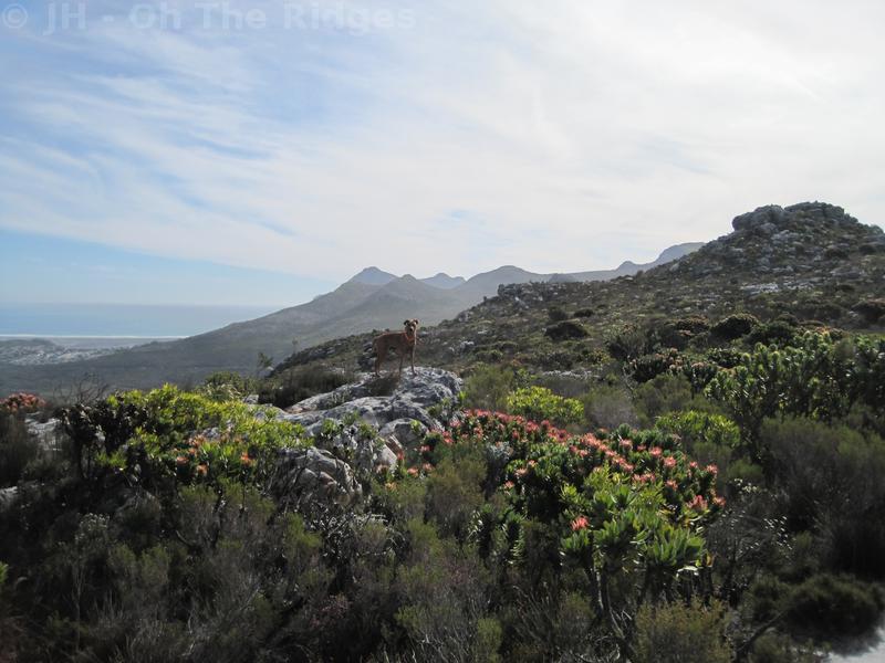 Silvermine