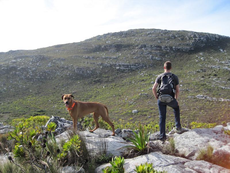 Silvermine