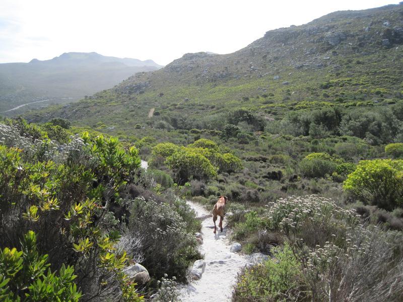 Silvermine