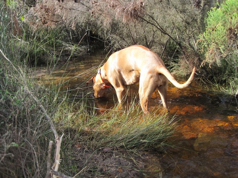 Silvermine