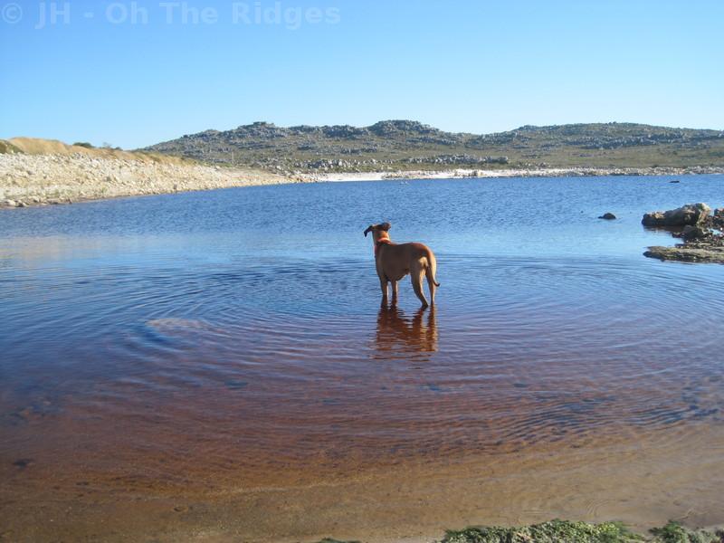 Kleinplaas Dam