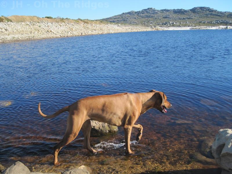 Kleinplaas Dam