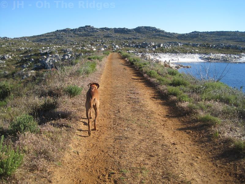 Kleinplaas Dam