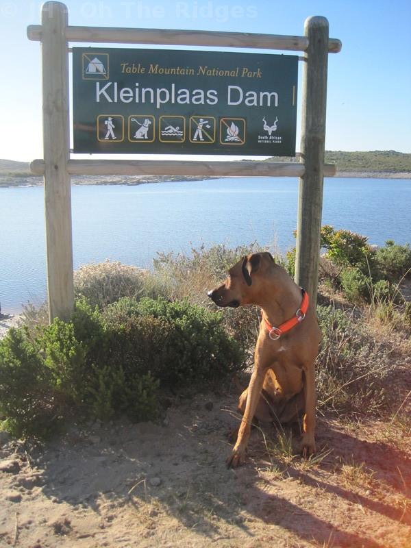 Kleinplaas Dam